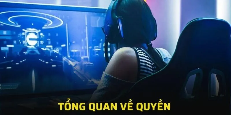 Đây là những điều khoản quan trọng liên quan đến việc bảo vệ thông tin