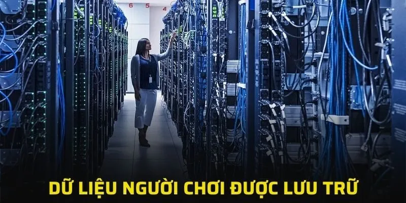 Dữ liệu người chơi được lưu trữ tại máy chủ nước ngoài