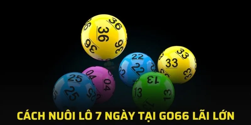 nuôi lô 7 ngày